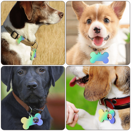 Epoksi Silikon Kalıp Kemik Kedi ve Köpek Çoklu Tasma İsimlik Kalıbı