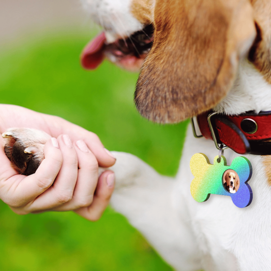 Epoksi Silikon Kalıp Kemik Kedi ve Köpek Çoklu Tasma İsimlik Kalıbı